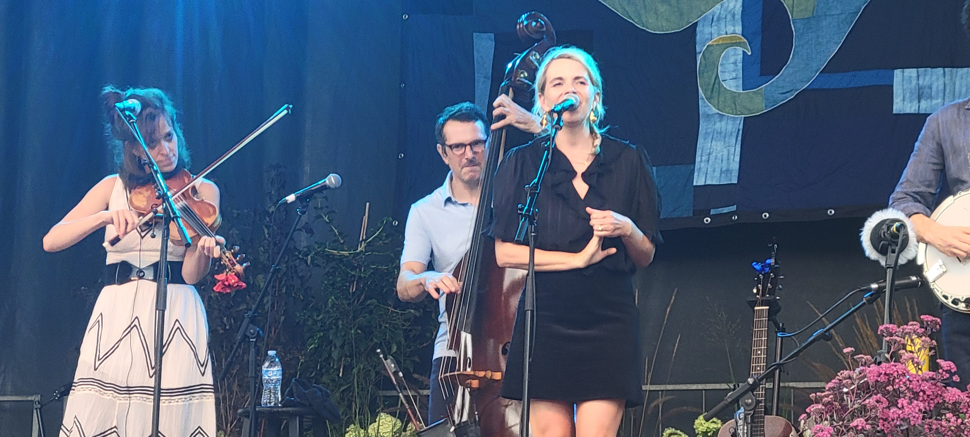 CrookedStill2024-08-18GreenMountainBluegrassAndRootsFestivalManchesterVT (5).jpg